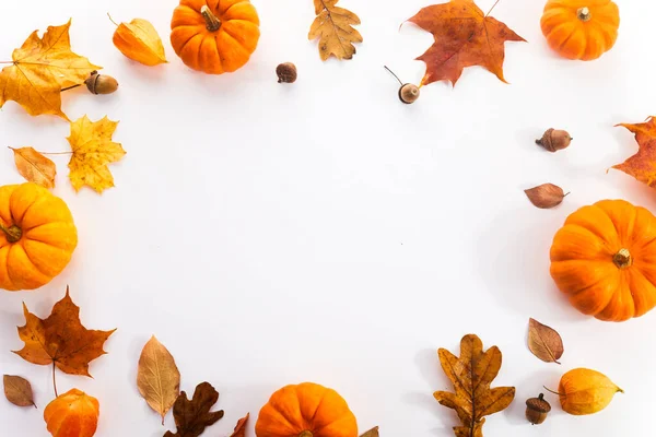 Pumpkins with fall leaves over white background. Top view