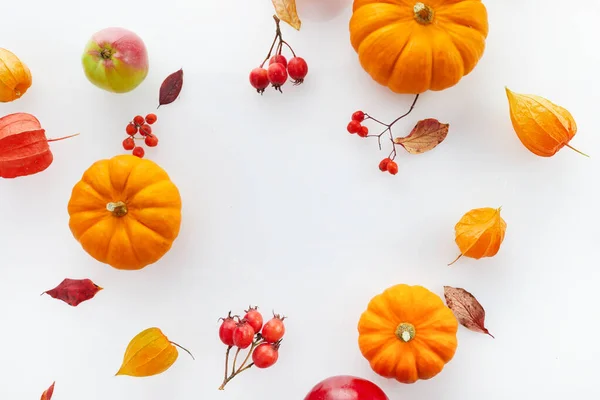 Podzimní Skladba Dýně Jablka Bílém Pozadí Podzim Podzim Den Díkůvzdání — Stock fotografie