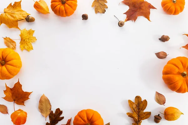 Pompoenen Met Herfstbladeren Een Witte Achtergrond Bovenaanzicht — Stockfoto