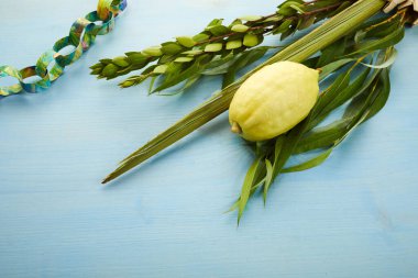Sukkot Yahudi Festivali. Geleneksel semboller Etrog ve lulav - narenciye ve palmiye