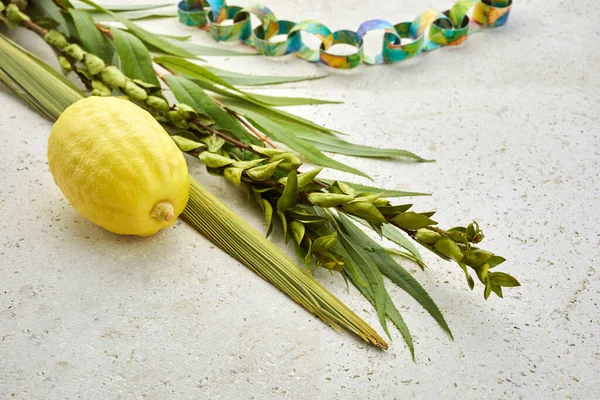 Judisk Högtid För Suckot Traditionella Symboler Etrog Och Lulav Citrus — Stockfoto