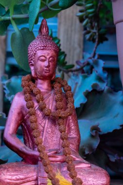 Buda heykeli mihrapta mumlar ve bitkilerle
