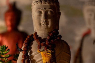 Buda heykeli mihrapta mumlar ve bitkilerle