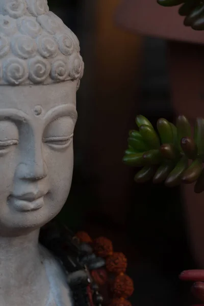 Изображение Статуи Будды Алтаре Свечами Растениями — стоковое фото