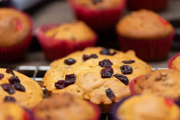Läckra Hemmagjorda Muffins Med Rostade Nötter Och Frön Att Njuta — Stockfoto