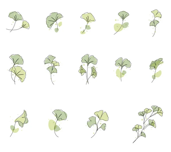 One Line Drawing Ginkgo Leaf Vector Set Illustration Watercolor Line — ストックベクタ