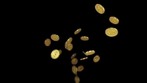 透明な背景にドル記号を持つ金のコインの噴水 3DアニメーションProres 4444 プレゼンテーション トレーラー 個人的なビデオで使用する — ストック動画