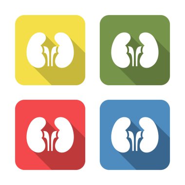 Kidneys. Medical icon isolated on green, yellow, blue and red background. First aid. Healthcare, medical and pharmacy sign. Square button. Vector Illustration