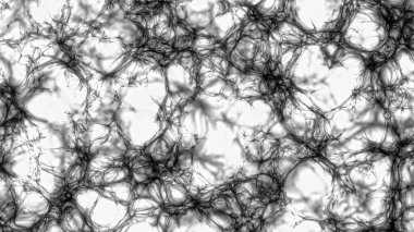 Soyut, yırtık pırtık ve evrimleşen bir şekil örümcek ağını anımsatıyor. 3B görüntüleme