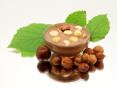 cam çikolata fındık ile gövde ve yapraklar