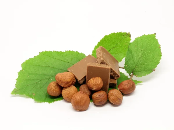 Milk chocolate with hazelnuts and leafs — Stock Photo, Image