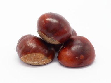 Pile of horse chestnut seeds clipart