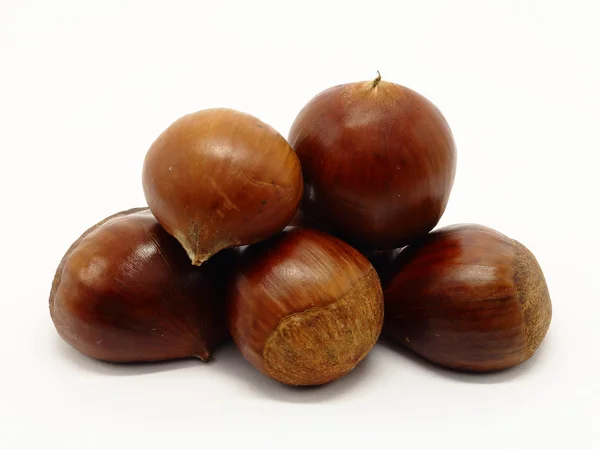 Mucchio di castagne — Foto Stock