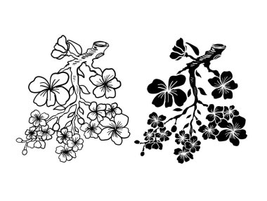 Beyaz üzerine kiraz ağacı dalı. Vektör illüstrasyonu Sakura Çiçeği, Güzel Şeftali Çiçeği izole vektörü. Japon çiçekleri..