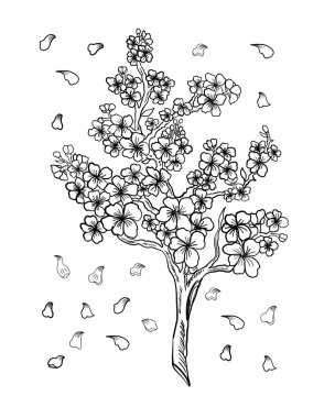 Beyaz üzerine kiraz ağacı dalı. Vektör illüstrasyonu Sakura Çiçeği, Güzel Şeftali Çiçeği izole vektörü. Japon çiçekleri..