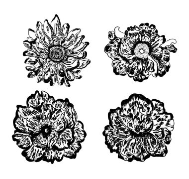 Arkaplanda resim yapmak için çiçek vektörü seti. Perdeye yazı yazdırmak için şakayık. Nakış tarzı için geleneksel Asya çiçekleri. Gül çiçeği. Yaz için güzel bir çizgi..