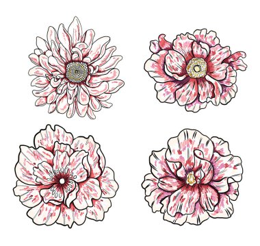 Arkaplanda resim yapmak için çiçek vektörü seti. Perdeye yazı yazdırmak için şakayık. Nakış tarzı için geleneksel Asya çiçekleri. Gül çiçeği. Yaz için güzel bir çizgi..