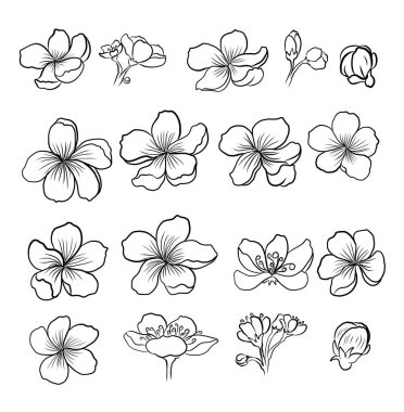 Beyaz üzerine kiraz ağacı dalı. Vektör illüstrasyonu Sakura Çiçeği, Güzel Şeftali Çiçeği izole vektörü. Japon çiçekleri..