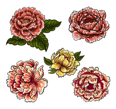 Arkaplanda resim yapmak için çiçek vektörü seti. Perdeye yazı yazdırmak için şakayık. Nakış tarzı için geleneksel Asya çiçekleri. Gül çiçeği. Yaz için güzel bir çizgi..