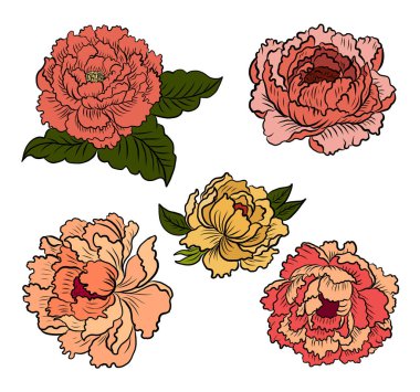 Arkaplanda resim yapmak için çiçek vektörü seti. Perdeye yazı yazdırmak için şakayık. Nakış tarzı için geleneksel Asya çiçekleri. Gül çiçeği. Yaz için güzel bir çizgi..