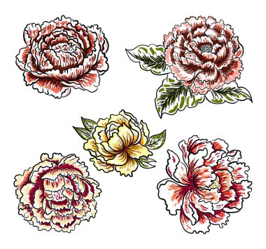 Arkaplanda resim yapmak için çiçek vektörü seti. Perdeye yazı yazdırmak için şakayık. Nakış tarzı için geleneksel Asya çiçekleri. Gül çiçeği. Yaz için güzel bir çizgi..