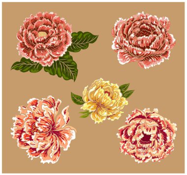 Set of flower vector for painting on background.Peony for printing on curtain.Traditional  Asian floral illustration for embroidery style.Rose flower.Beautiful line art for summer.