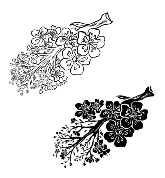 Branche Fleur Cerisier Sur Blanc Illustration Vectorielle Fleur Sakura Jolie — Image vectorielle
