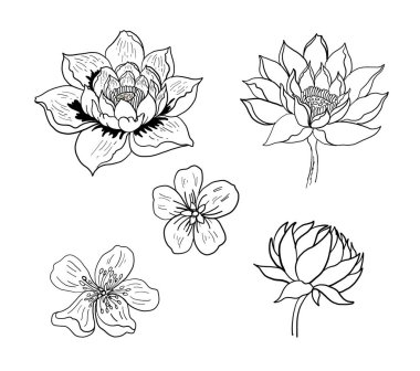 Arkaplanda geleneksel Asya çiçek vektörü.