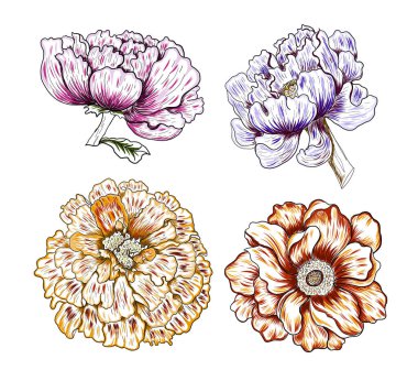 Yaz için güzel çizgiler..