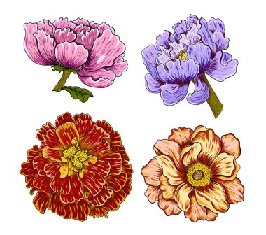 Yaz için güzel çizgiler..