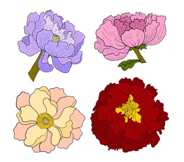 Yaz için güzel çizgiler..