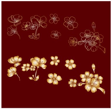 Güzel şeftali çiçeği izole vektörü. Japon çiçeği..