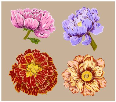 Yaz için güzel çizgiler..