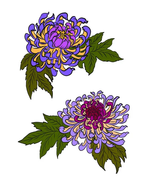 Colorful Flower Chrysanthemum Printing Background Chrysanthemum Flower Vector Tattoo Design — стоковый вектор