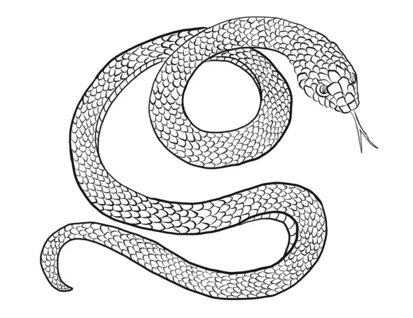 Vettore Serpente Giapponese Disegno Del Tatuaggio Isolato Sfondo Bianco — Vettoriale Stock