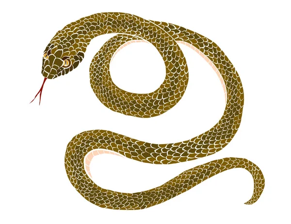 Vector Serpiente Japonesa Para Diseño Del Tatuaje Aislado Sobre Fondo — Vector de stock