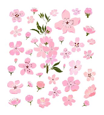 Serbest el Sakura çiçek vektörü seti, Güzel çizgi sanatı Şeftali çiçeği beyaz arkaplanda izole edildi. Arka planda karalama sanatı için kiraz çiçeği illüstrasyonu.