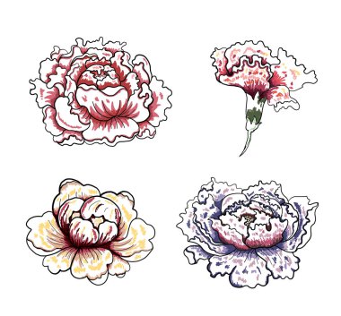 Beyaz arkaplanda dövme tasarımı için şakayık çiçeği vektörü. Karalama boyama kitabı için güzel bir çizgi. Karalama kitabı için de şakayık çiçeği çizimi..