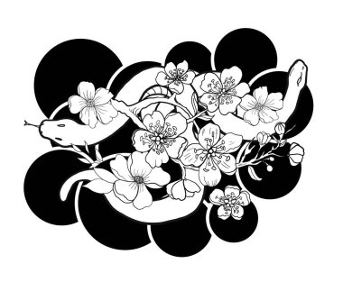 Yıldız Burcu Sembolleri Astroloji Simgeleri Koleksiyonu 'nun vektörü ve çiçeği. Burçlar, Taurus, Gemini, kanser, Leo, Başak, Terazi, Akrep, Yay, Oğlak, Akvaryum, Balık gibi burçlar.. 