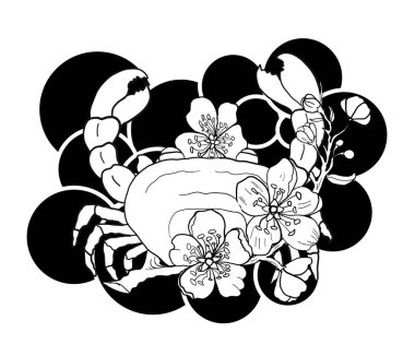 Yıldız Burcu Sembolleri Astroloji Simgeleri Koleksiyonu 'nun vektörü ve çiçeği. Burçlar, Taurus, Gemini, kanser, Leo, Başak, Terazi, Akrep, Yay, Oğlak, Akvaryum, Balık gibi burçlar.. 