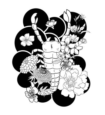 Yıldız Burcu Sembolleri Astroloji Simgeleri Koleksiyonu 'nun vektörü ve çiçeği. Burçlar, Taurus, Gemini, kanser, Leo, Başak, Terazi, Akrep, Yay, Oğlak, Akvaryum, Balık gibi burçlar.. 