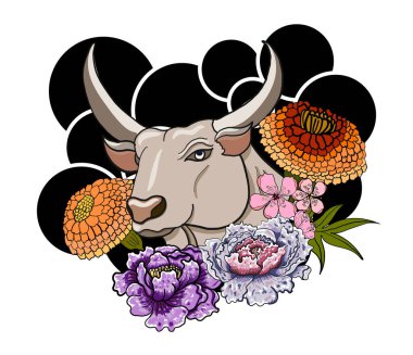 Yıldız Burcu Sembolleri Astroloji Simgeleri Koleksiyonu 'nun vektörü ve çiçeği. Burçlar, Taurus, Gemini, kanser, Leo, Başak, Terazi, Akrep, Yay, Oğlak, Akvaryum, Balık gibi burçlar.. 