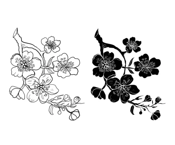 Free Hand Sakura Flower Vector Set Beautiful Line Art Peach — Stockvektor