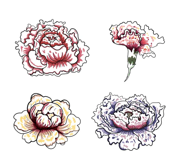 Beyaz arkaplanda dövme tasarımı için şakayık çiçeği vektörü. Karalama boyama kitabı için güzel bir çizgi. Karalama kitabı için de şakayık çiçeği çizimi..