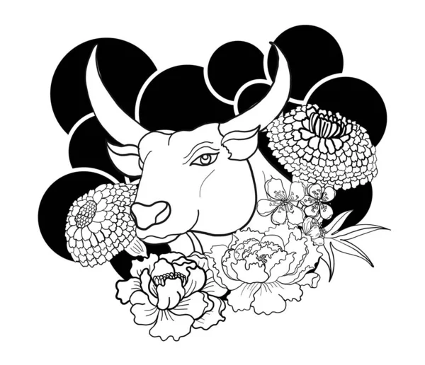 Yıldız Burcu Sembolleri Astroloji Simgeleri Koleksiyonu 'nun vektörü ve çiçeği. Burçlar, Taurus, Gemini, kanser, Leo, Başak, Terazi, Akrep, Yay, Oğlak, Akvaryum, Balık gibi burçlar.. 