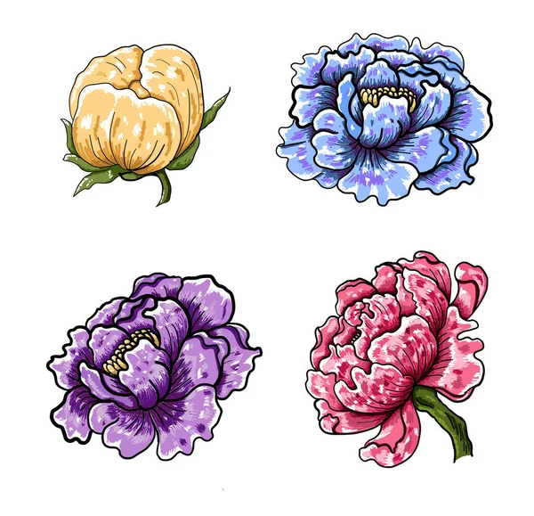 Beyaz arkaplanda dövme tasarımı için şakayık çiçeği vektörü. Karalama boyama kitabı için güzel bir çizgi. Karalama kitabı için de şakayık çiçeği çizimi..