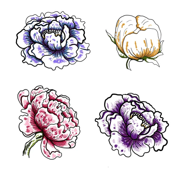 Peony Flower Vector Tattoo Design White Background Beautiful Line Art — Archivo Imágenes Vectoriales