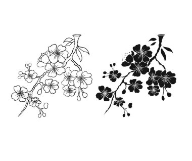 Beyaz üzerine kiraz ağacı dalı. Vektör illüstrasyonu Sakura Çiçeği, Güzel Şeftali Çiçeği izole vektörü. Japon çiçekleri..