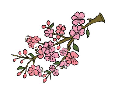 Beyaz üzerine kiraz ağacı dalı. Vektör illüstrasyonu Sakura Çiçeği, Güzel Şeftali Çiçeği izole vektörü. Japon çiçekleri..