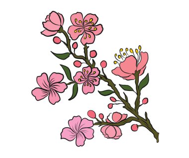 Beyaz üzerine kiraz ağacı dalı. Vektör illüstrasyonu Sakura Çiçeği, Güzel Şeftali Çiçeği izole vektörü. Japon çiçekleri..